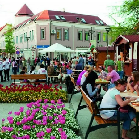 Appartement In - Balaton 18946 *