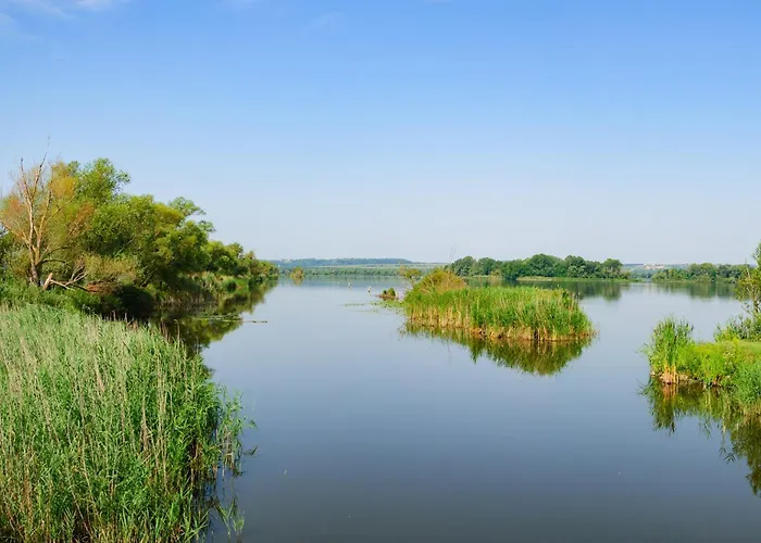 In - Balaton 18946 Hévíz