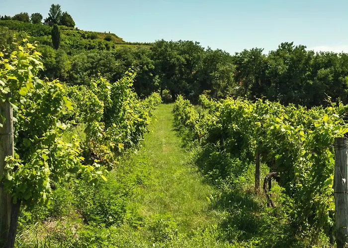Apartment In - Balaton 18946 *
