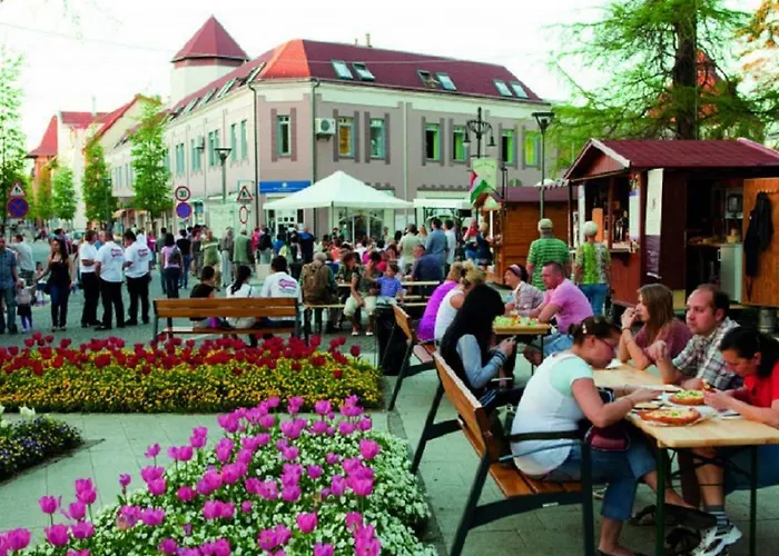 Apartment In - Balaton 18946 *